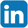 Linkedin Ralf Schnitzler